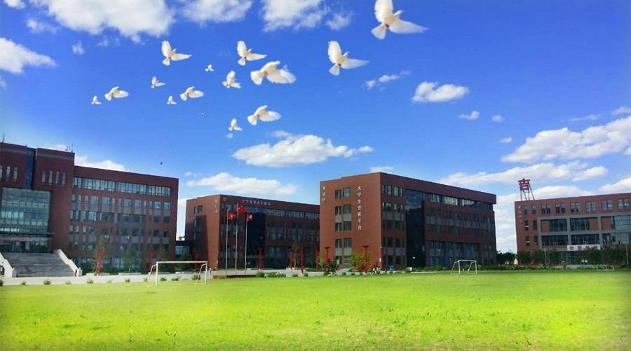 鼎博app官方下载