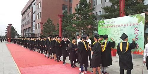 鼎博app官方下载