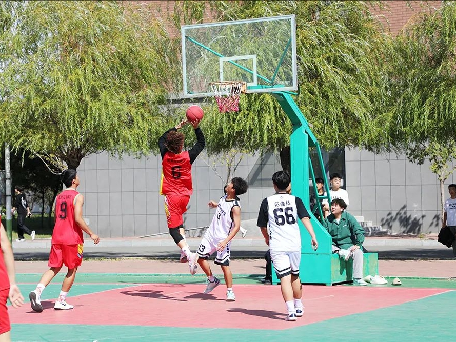 1727243719188363.jpeg 1727243719188363.jpeg